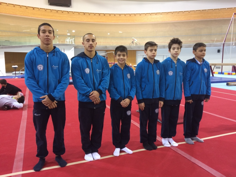 Ginastas_age_groups_2019